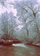 Winter Scene, New Mill Road, Finchampstead